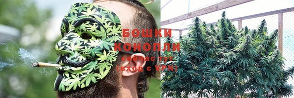 гидра Аркадак