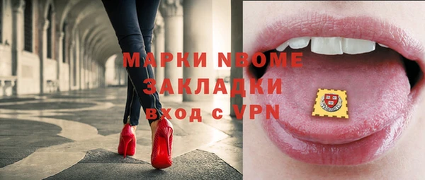 прущие грибы Мензелинск