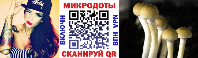 Галлюциногенные грибы ЛСД  что такое   Можга 